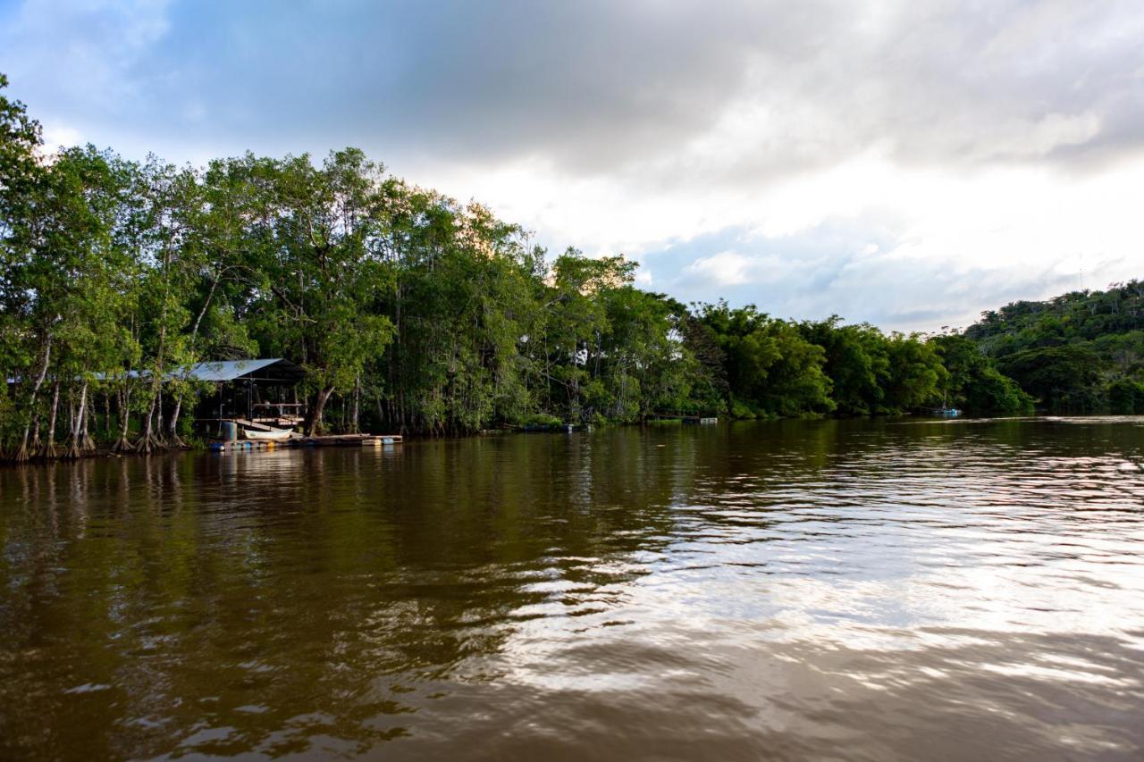 Oso De Osa Sierpe Exterior foto