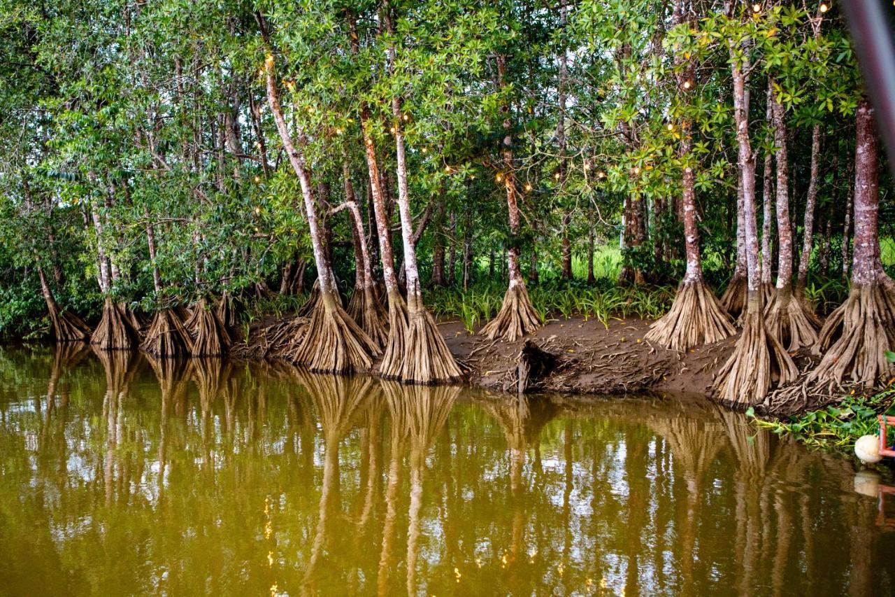 Oso De Osa Sierpe Exterior foto