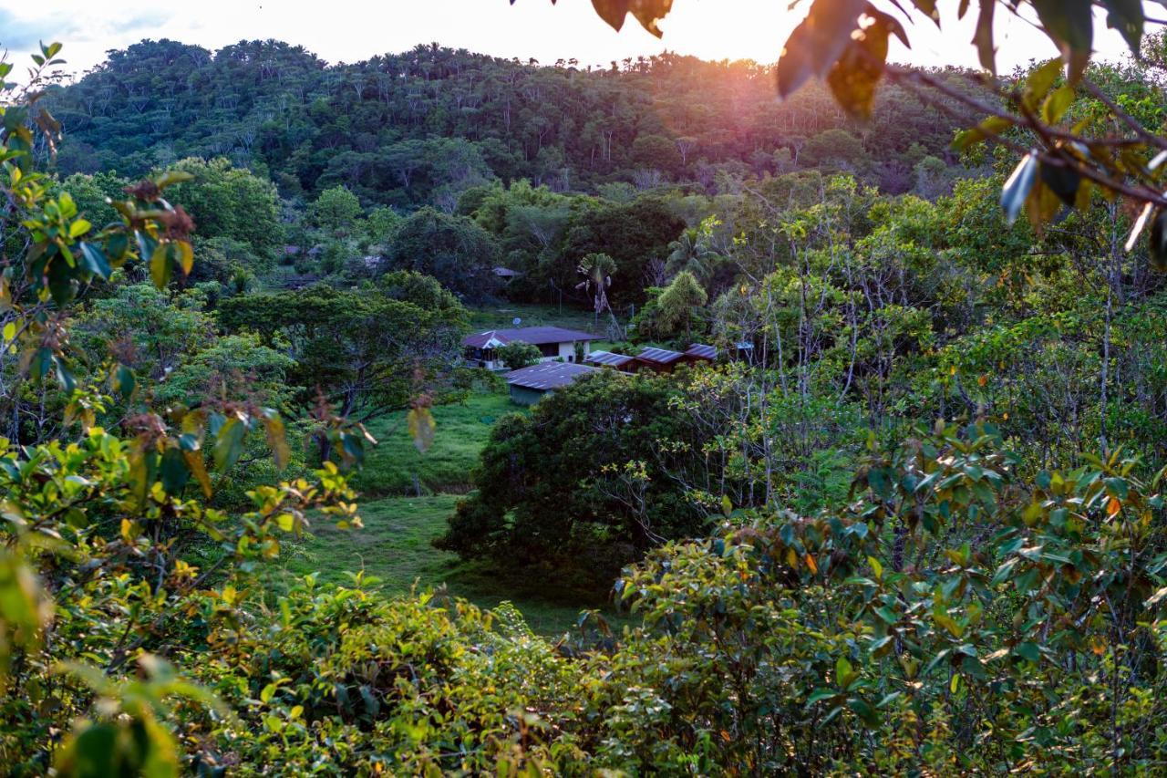Oso De Osa Sierpe Exterior foto