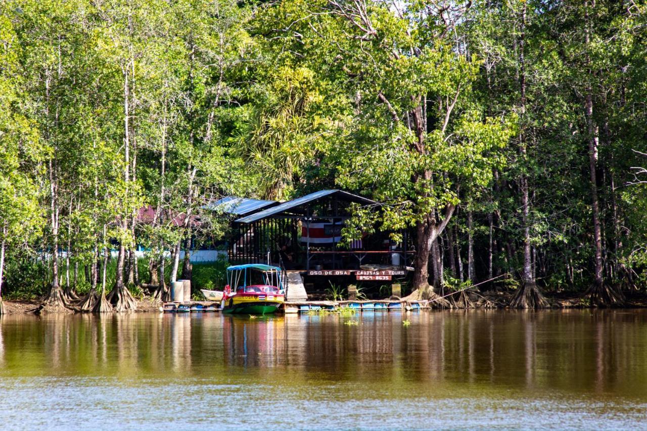 Oso De Osa Sierpe Exterior foto