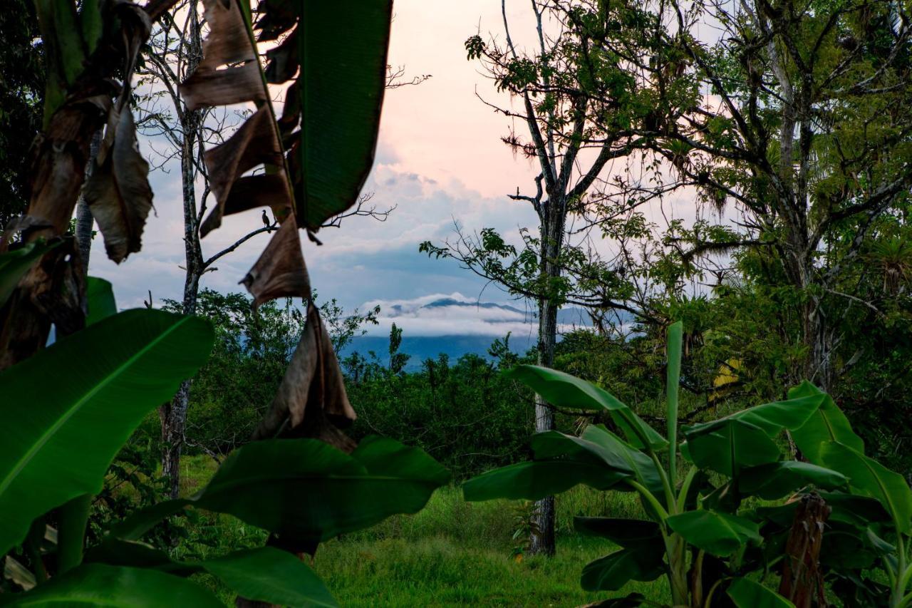 Oso De Osa Sierpe Exterior foto