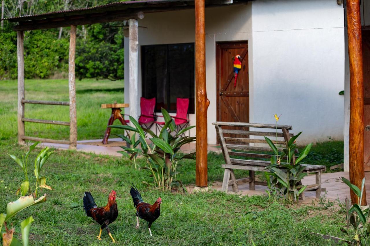 Oso De Osa Sierpe Exterior foto