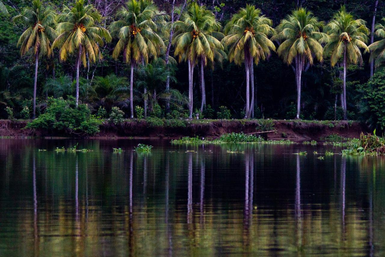Oso De Osa Sierpe Exterior foto