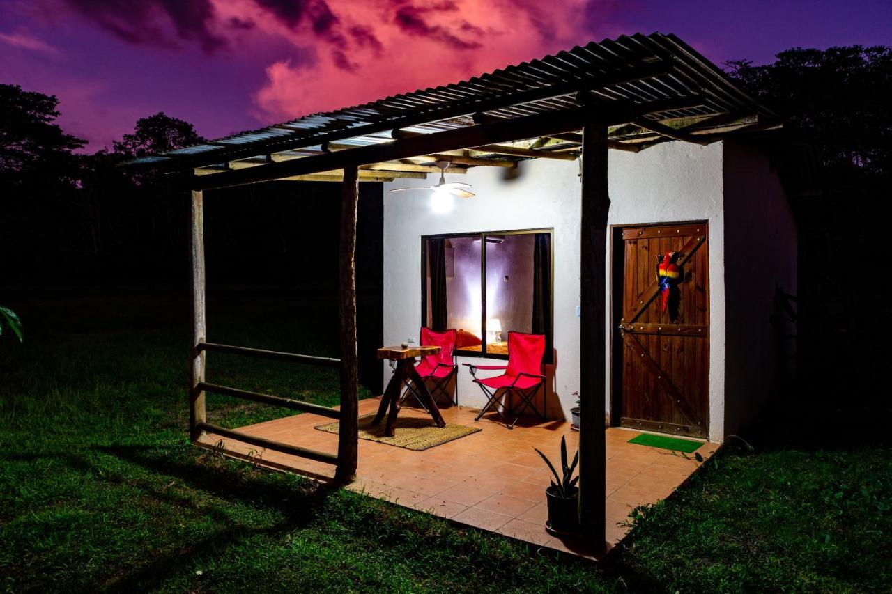 Oso De Osa Sierpe Exterior foto