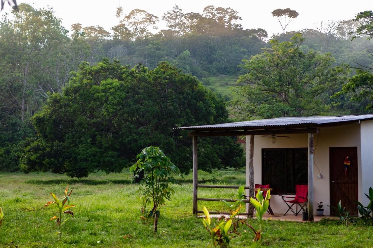Oso De Osa Sierpe Exterior foto
